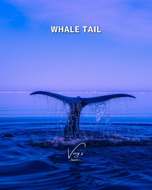ホエールテール