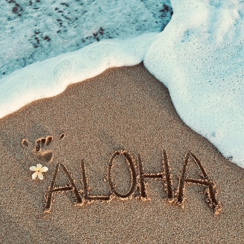 ハワイの砂浜に書かれたALOHAの文字とプルメリア