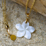 Plumeria Shell Necklace 25mm