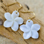 Plumeria Shell Pierce 25mm