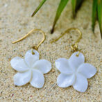 Plumeria Shell Pierce 25mm