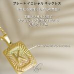 Plate Initial Necklace